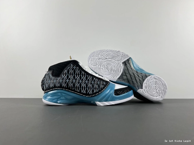 318376-041 Jordan 23 UNC 0531
